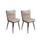 HANAH HOME Set trpezarijskih stolica 2/1 Kuşaklı-221, krem/crna - 974NMB1681