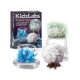 4m nauka o kristalima - EP3012099