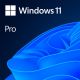 Windows 11 Professional 64Bit English Intl 1pk DSP OEI DVD - EP2947130
