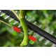 BOSCH Makaze za živu ogradu UniversalHedgePole 18 - 06008B3000-1