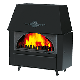 ALFA PLAM Kamin na čvrsto gorivo Rustikal Eco - EP2975967