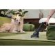 HOOVER Usisivač sa posudom za prašinu HP120PET 011 - APA02374