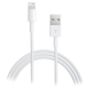 APPLE Punjač Lightning na USB, md819zm/a, 2 m - EP155254