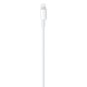 Apple data kabl Type C na Lightning 1m (MX0K2ZM/A) - 212823