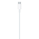 Apple data kabl Type C na Lightning 1m (MX0K2ZM/A) - 212823-1-1