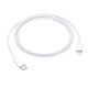 APPLE Kabl USB-C na lighting, 1m - 1780024