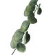 DEKOR DOM Cvet APPLE LEAF - N59* - EP2880168