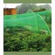 KINZO GARDEN mreža za biljke - EP3038771