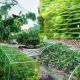 KINZO GARDEN mreža za biljke - EP3038771