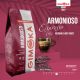 GIMOKA Pržena kafa u zrnu Professional Armonioso 1000G - 43397695602918