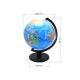 MOJA KNJIŽARA GLOBUS Memoris 25CM PVC WY - 64039