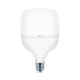 BRAYTRON LED sijalica BRY-ADVANCE-30W-E27-T100-PLS-3000K - BA13-33020