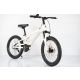 WINNER BIKE BIC.20/1-TN26Q03-WHITE - EP3190313