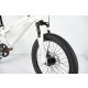 WINNER BIKE BIC.20/1-TN26Q03-WHITE - EP3190313