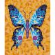 JANOD Kreativni set bojenje po brojevima Insekti - J07980