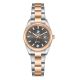 BEVERLY HILLS POLO CLUB Sat BP3794X.560 - BP3794X.560