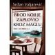 Brod koji je zaplovio kroz maglu - 9788652147038