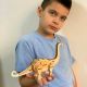 3d drvena slagalica -  Brontosaurus - 47