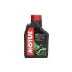 MOTUL ulje za motor 5000 10W40 1L 104054 - C62291