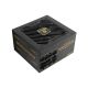 ENERMAX ERV850G-AHG-MAC REVOLUTION III 850W 80 Plus Gold Napajanje - EP3153254