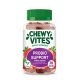 Chewy Vites Adults Probio Support, 30 kom - 1611-1-1