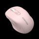 CANYON 6 buttons wireless 2.4Ghz mouse, MX8650A Sensor, DPI up to 1600 - CNE-CMSW20P