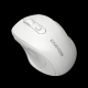 CANYON 6 buttons wireless 2.4Ghz mouse, MX8650A Sensor, DPI up to 1600 - CNE-CMSW20W