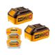 Set baterija 20V COSLI240464E 2×5,0Ah SUPER INGCO - 30825