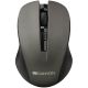 CANYON Miš MW-1 2.4GHz Wireless Optical sa 4 tastera,siva - CTCNECMSW1G