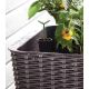 KETER Saksija za mini baštu Easy grow 120L, viski braon CU 230297 - CU 230297