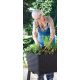 KETER Saksija za mini baštu Easy grow 120L, grafit CU 230298 - CU 230298