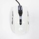 Miš USB EPICGEAR Gekkota beli - EP2896008