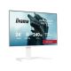Monitor 24