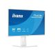 Monitor 24