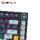 FANTECH Gejmerska mehanicka tastatura MK875V2 Atom81 Mizu Navy rosie switch - EP2856240