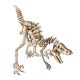 3d slagalica - DEINONYCHUS - 97-1