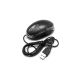 DVR DV-1008SD - 39203