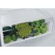 WHIRLPOOL Kombinovani frižider W5 721E OX 2 - ELE02691