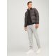 JJ REBEL MUŠKI DONJI DEO TRENERKE LOGO SWEAT PANTS SIVE XXL - EP3058807