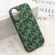 Futrola MONOGRAM MagSafe za iPhone 17, zelena - EP3188401