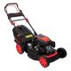 FARM Samohodna motorna kosilica FLM531K, 209cc, 53cm - FLM531K