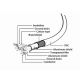 CCP-USB3-AMCM-6 Gembird 3A/36W USB 3.0 AM to Type-C cable (AM/CM), 1.8 m, Black - EP3223500