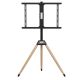 TVS-75ST-01 Gembird Podno postolje za TV stativ (okretno/nagibno), 32-75inc - EP3228037