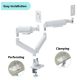 MA-DA2-06-W Gembird Podesivi dupli stoni drzac za monitor, tilt, 17-32 max.10kg White - EP3273995