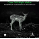 CAM-32MP-HUNTING-RD4019G GMB trail cam 4G 32MP with SIM,smartphone compatible,fotografisanje prirode - EP3228392