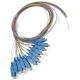 Pigtail 2 - EP3228425
