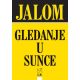 Gledanje u sunce - 9788686653505