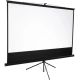 HAVIT Platno za projektor PS100 - 68003
