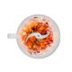 HOME Seckalica HGAP15 - EP3102915