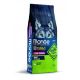 MONGE Hrana za pse BWild Low Grain Adult divlja svinja 12kg - 8009470011754